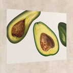 Vintage Avocado Botanical Poster
