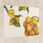 Vintage Lemon Botanical Poster
