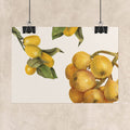 Vintage Lemon Botanical Poster
