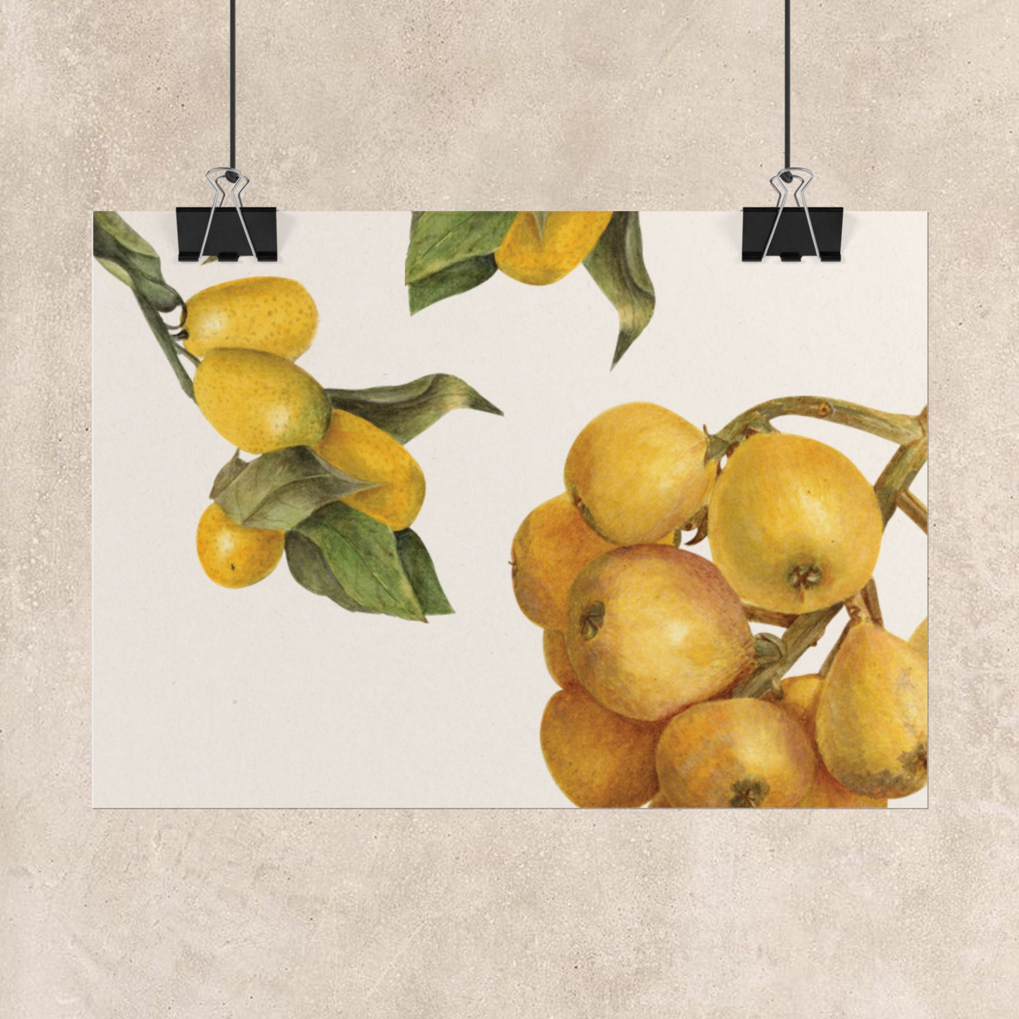 Vintage Lemon Botanical Poster